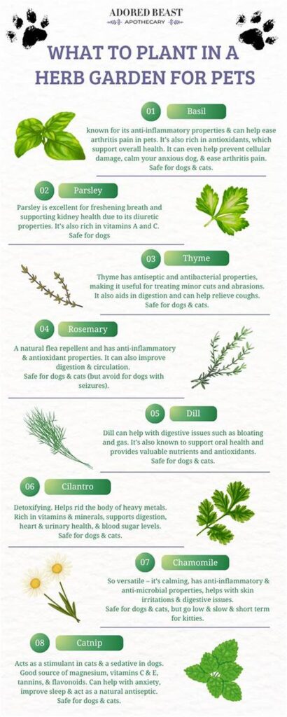 Herb Varieties Safe For Pets