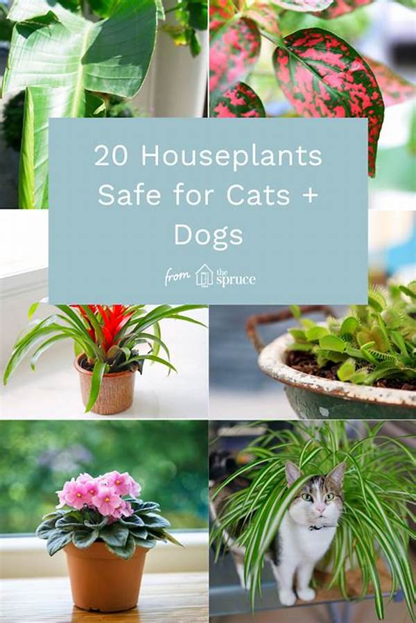Houseplants Safe For Dogs And Cats
