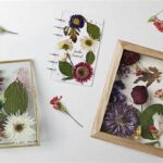How To Preserve Dried Flowers