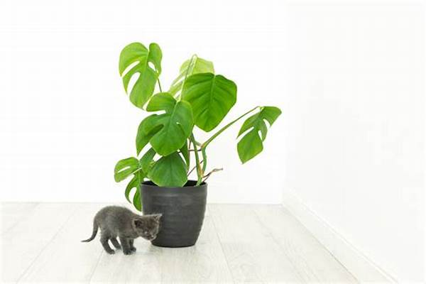 Indoor Plants That Pets Avoid