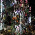 Keeping Floral Displays Vibrant Longer