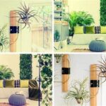 Kid-safe Greenery For Your Home