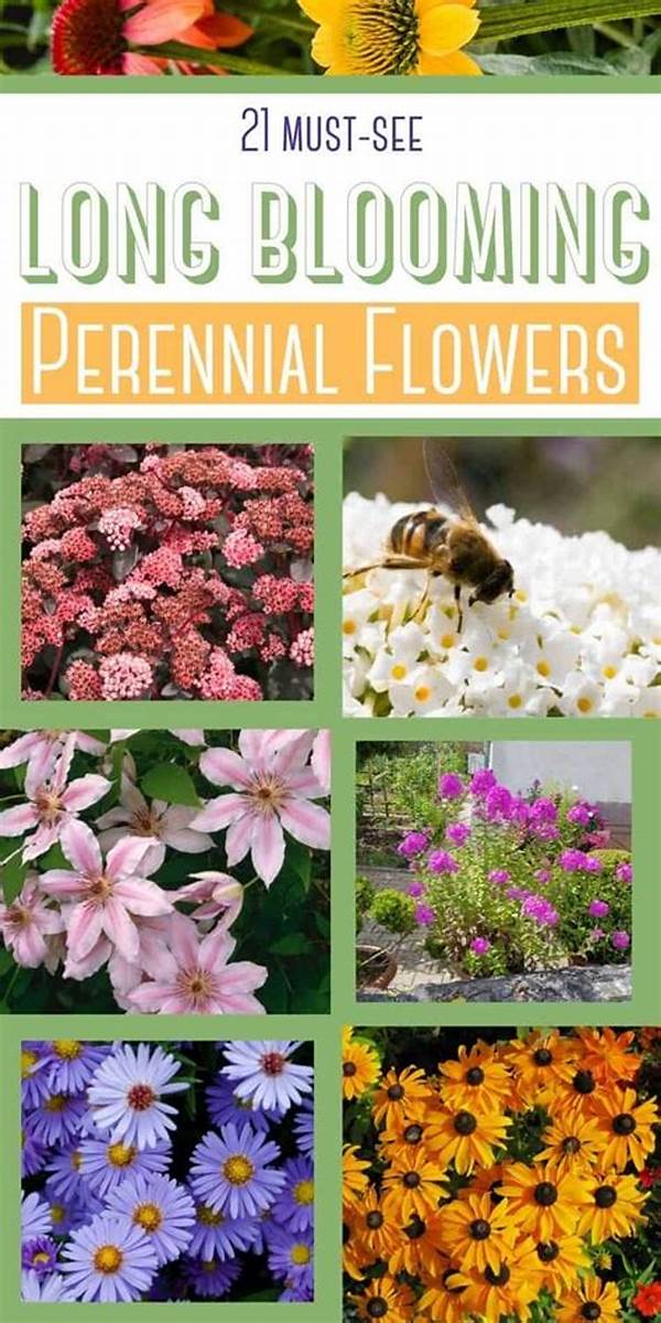 Long-blooming Perennial Varieties