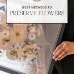 Long-lasting Floral Preservation Methods