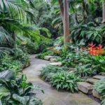 Long-life Tips For Plant Exhibits