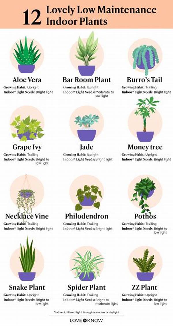 Low-care Plants For Beginners