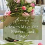 Making Flower Displays Last Longer