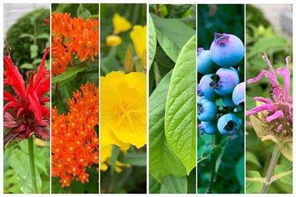 Native Plant Species For Wildlife