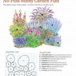 No-fuss Flowering Plants For Beginners