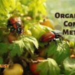 Organic Pest Control Strategies