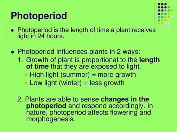 Photoperiod’s Influence On Plants