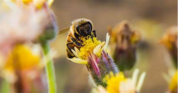 Pollinator Support Through Native Flora
