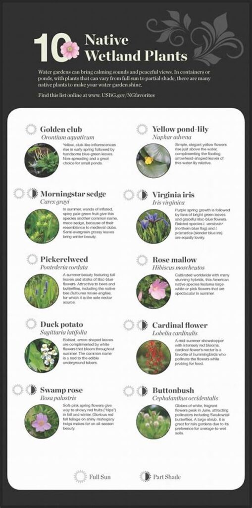 Regional Native Plant Recommendations