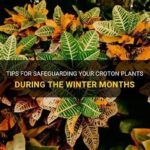 Safeguarding Winter Plants From Pests