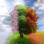 Seasonal Changes In Plant Care