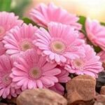 Seasonal Flower Selection Tips