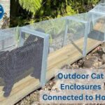 Secure Cat Enclosures For Outdoors