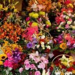 Selecting The Right Seasonal Flower Varieties