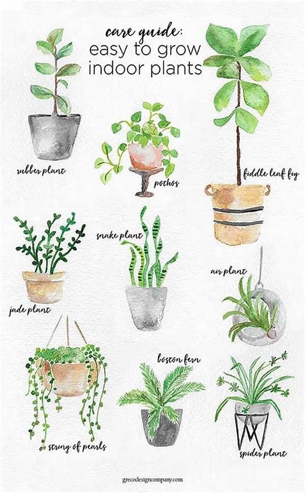Simple Care Plants For Indoors