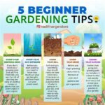 Simple Steps For Novice Gardening
