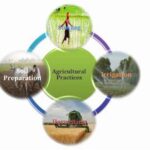 State-specific Agricultural Practices