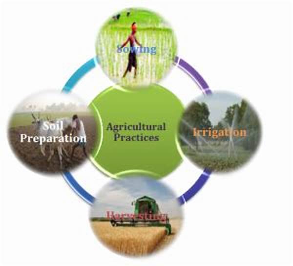 State-specific Agricultural Practices