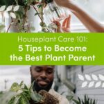Stress-free Houseplant Tips For Parents