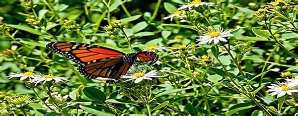 Supporting Native Wildlife Populations