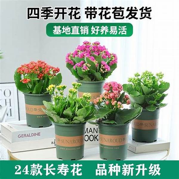 Techniques For Flower Petal Longevity