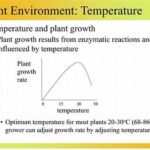Temperature Influence On Plant Cycles