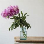 Using Preservatives For Flowers