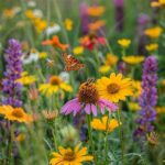 “wildflowers Supporting Wildlife Populations”