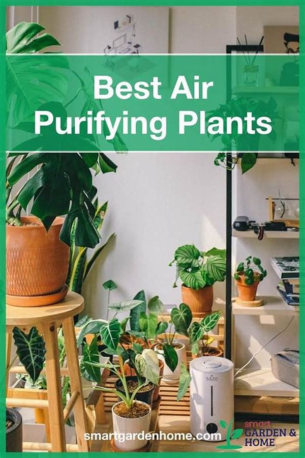 Air-purifying Plants For Families