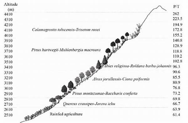 Altitudinal Gradient And Plant Flowering.