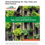 Beginner-friendly Gardening Plant Choices