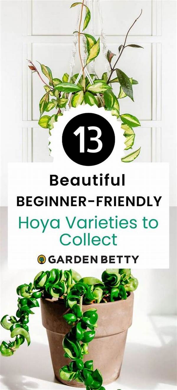 Beginner-friendly Houseplant Varieties