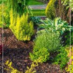 Beginner Gardener Plant Suggestions