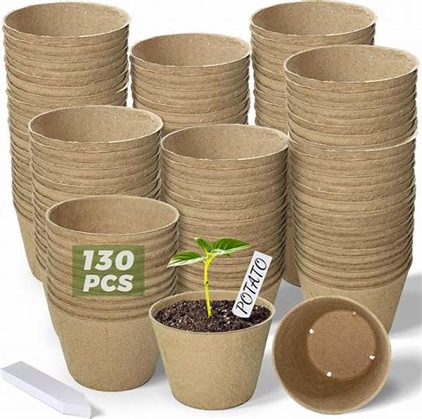 Biodegradable Seed Starter Pots