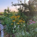 Biodiverse Garden Fence Alternatives