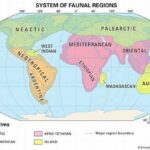Biogeographical Boundaries Of Flora