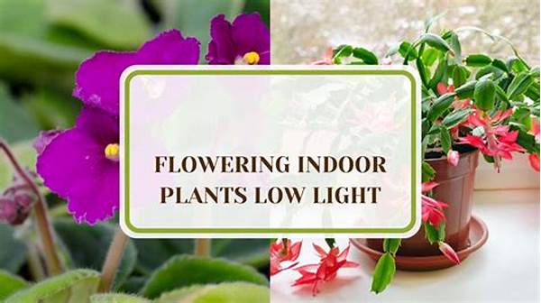 **blooming Indoors Low Light**