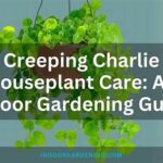 Child-friendly Houseplant Options