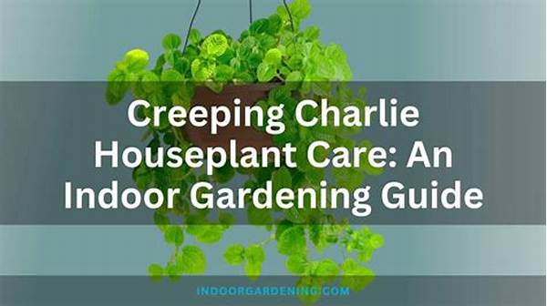 Child-friendly Houseplant Options