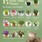 Choosing Plants Safe For Cats