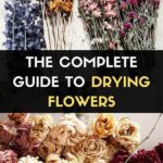 “complete Flower Drying Guide”