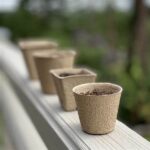 Compostable Options For Flower Delivery