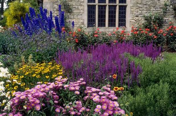 Continuous Flowering Plants For Borders