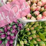 Discounted Seasonal Flower Deals