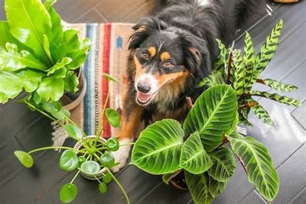 Dog-friendly Plant Varieties