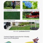 Dog-safe Lawn Care Products